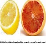 Come conservare succo e scorze di limoni e arance