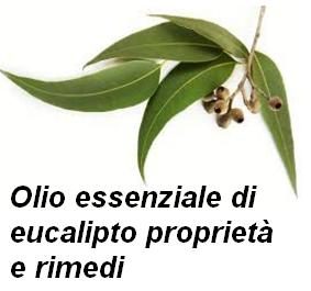 Olio essenziale di eucalipto proprietà e rimedi