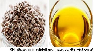 Olio di semi di lino proprietà e utilizzo